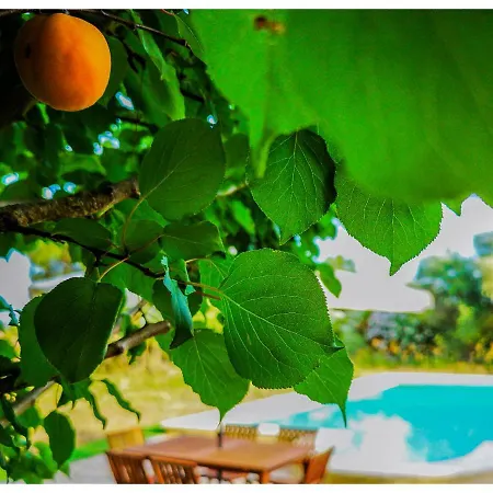 Casa Vacanze Salentogreen * Mesagne